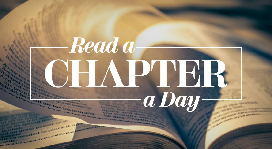 Article Chapter A Day