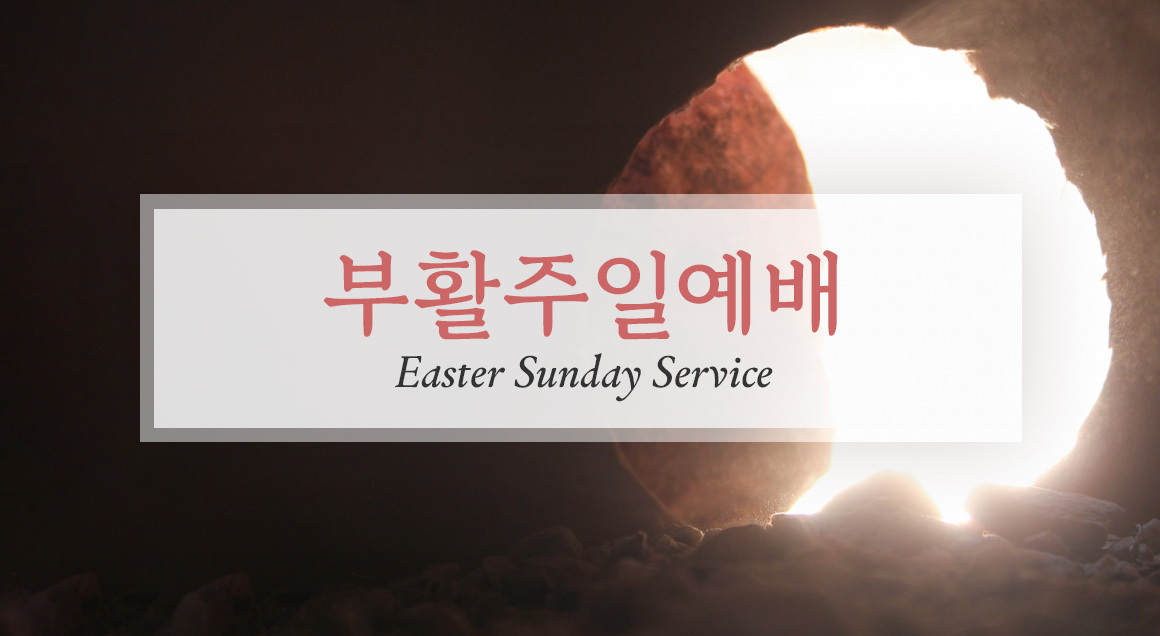 Easter Sun KOR Article
