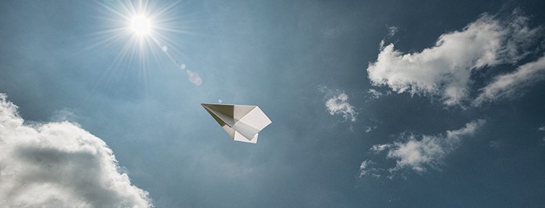 Paper plane 790