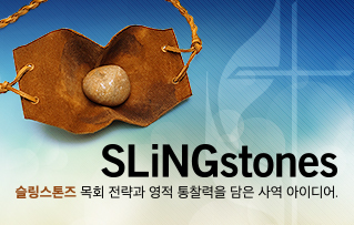 S li n gstones graphic