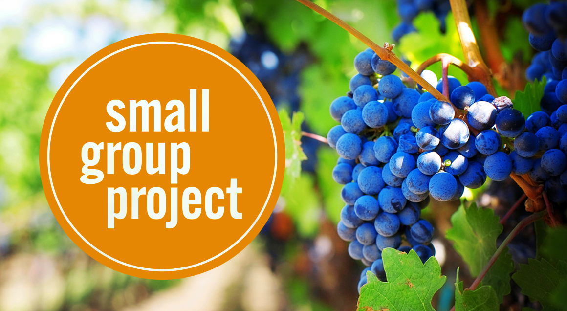 Small Group Project Graphic v1 jpg option 1