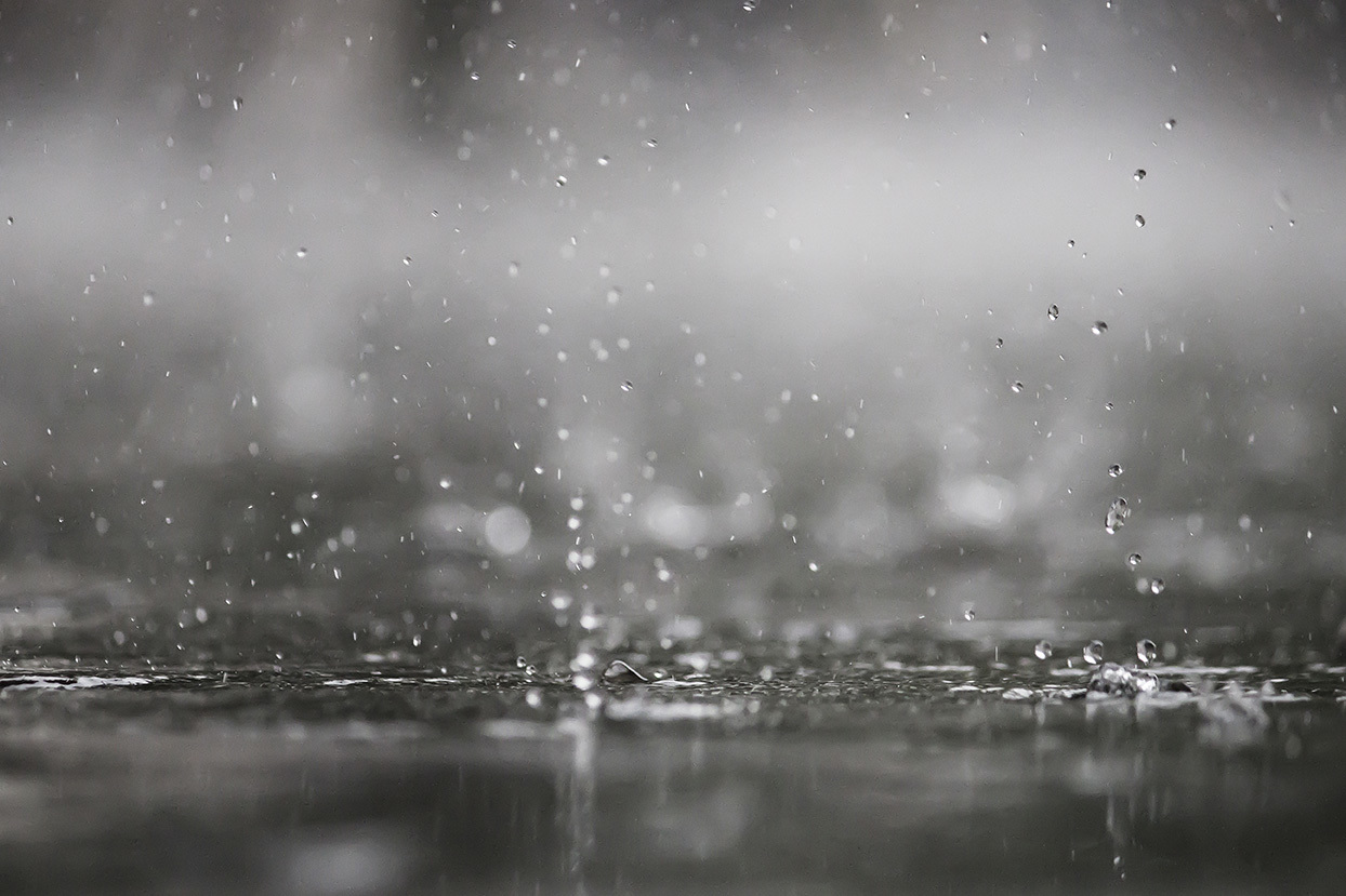 Stock rainfall